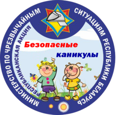 Информационно-пропагандистская акция  «Безопасные каникулы»   